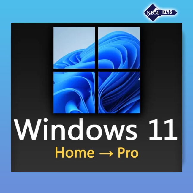 Windows 11 HOME to PRO Upgrade