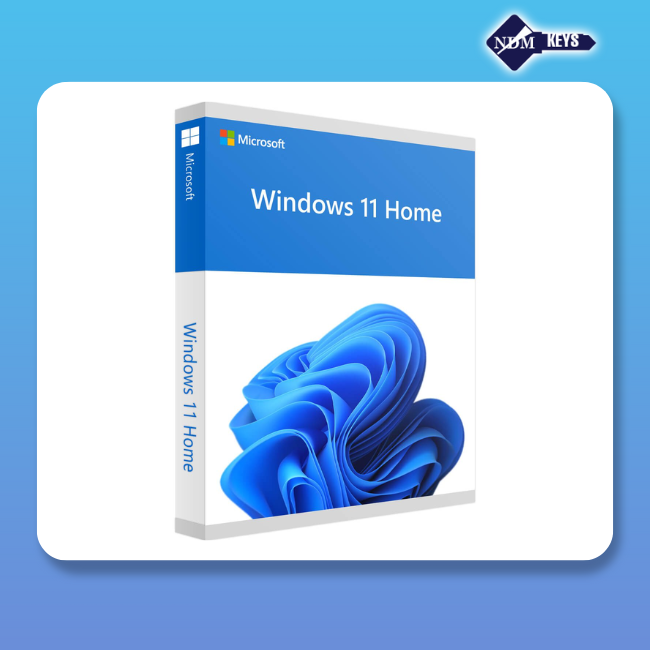Windows 11 HOME